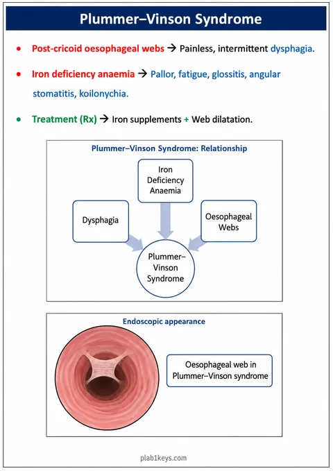 PLAB 1 and UKMLA chapter content preview: Plummer–Vinson Syndrome