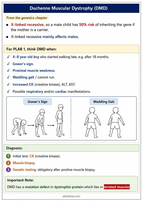 PLAB 1 and UKMLA chapter content preview: Duchenne Muscular Dystrophy