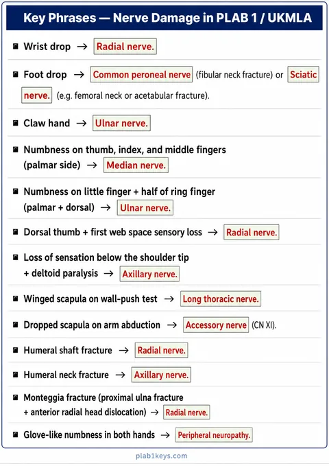 PLAB 1 and UKMLA chapter content preview: Nerve Damage — Key Phrases
